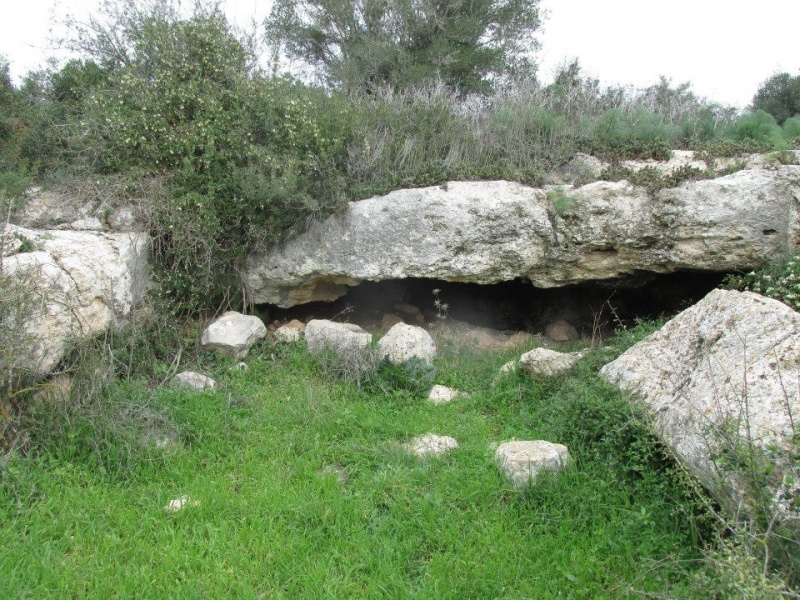 קובץ:חזיתקברניר.jpg