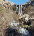 תמונה ממוזערת לגרסה מתאריך 06:09, 13 בינואר 2019