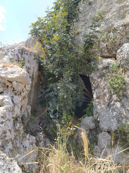 קובץ:חללקרסטמורמזא.jpg