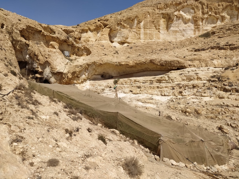 קובץ:חממתצבועא.jpg