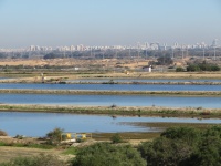 חמצוןיבנהמחלף.JPG