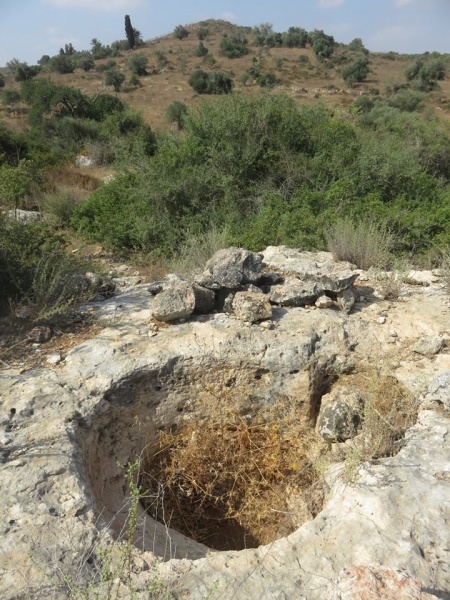 קובץ:חקעתיקהכיד.jpg