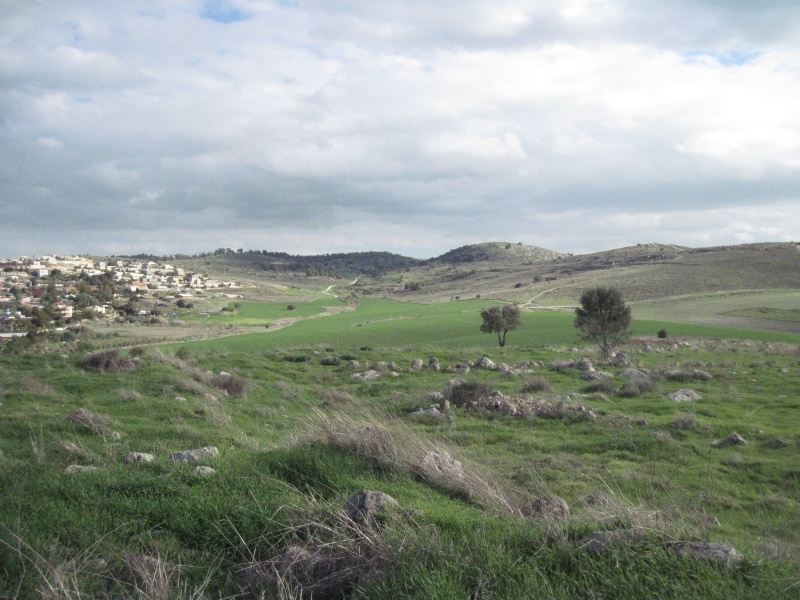 קובץ:חרבהאוריה.JPG