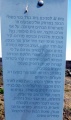 תמונה ממוזערת לגרסה מתאריך 18:43, 22 בספטמבר 2013