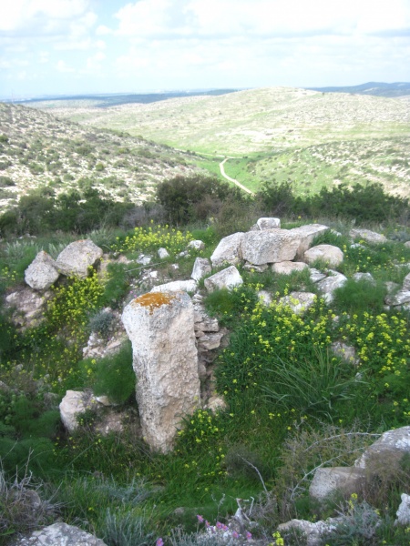 קובץ:חרבתאטבלה.JPG