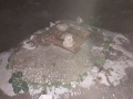 תמונה ממוזערת לגרסה מתאריך 00:30, 19 בינואר 2021