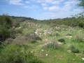 תמונה ממוזערת לגרסה מתאריך 18:41, 14 בפברואר 2014