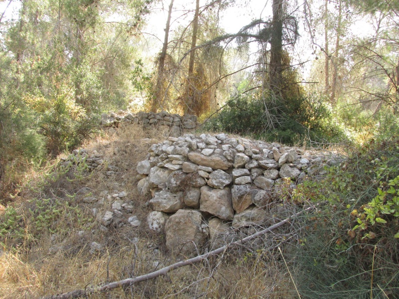 קובץ:חרבתפלח.JPG