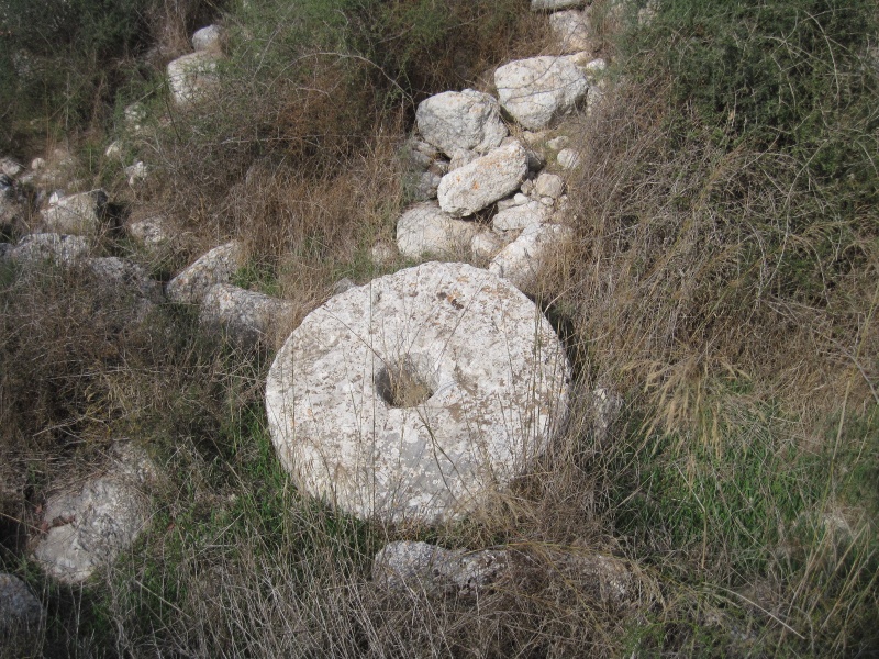 קובץ:חרבתקולד.JPG