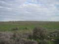 תמונה ממוזערת לגרסה מתאריך 10:15, 16 בינואר 2012