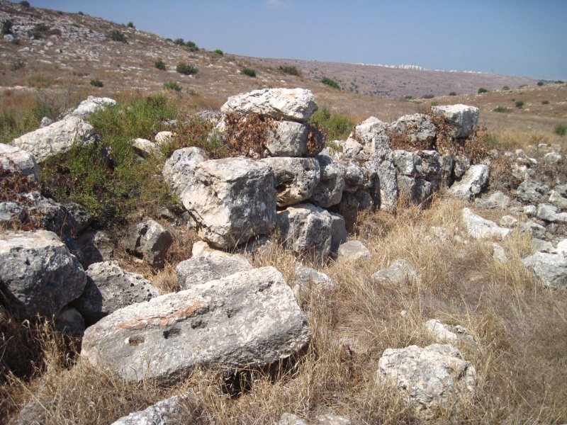 קובץ:חרבתתעמור.JPG