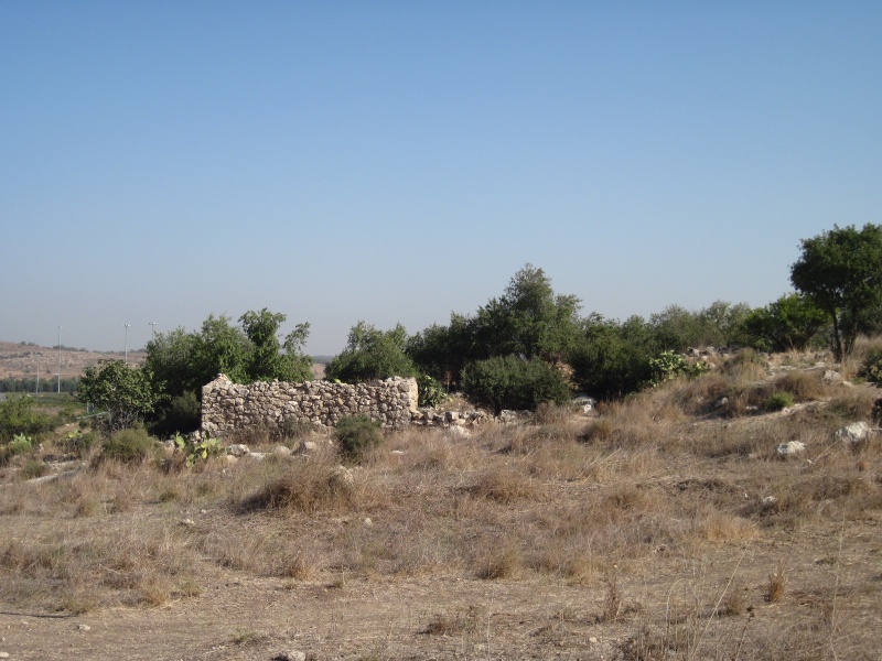 קובץ:חרבת נכס.JPG