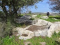 תמונה ממוזערת לגרסה מתאריך 16:47, 1 בפברואר 2015