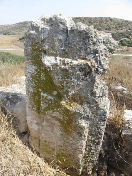 קובץ:טבואנצקוקיה.jpg