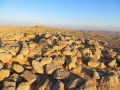 תמונה ממוזערת לגרסה מתאריך 17:11, 5 בפברואר 2014