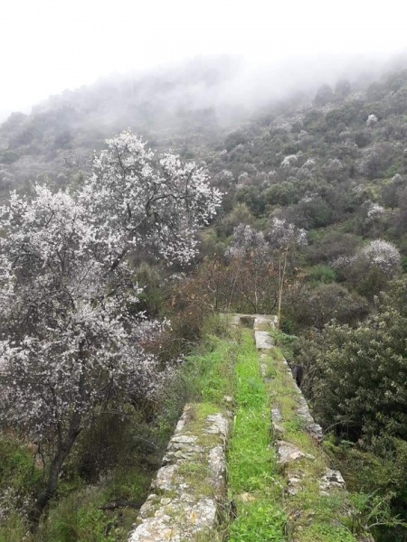 קובץ:טחנתהמערהעמודצפ.jpg