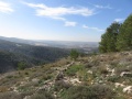 תמונה ממוזערת לגרסה מתאריך 10:19, 10 בדצמבר 2015