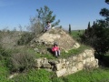 תמונה ממוזערת לגרסה מתאריך 14:31, 6 בדצמבר 2014