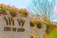 כניסה לעיר דוד - צילום אליהו ינאי.jpg