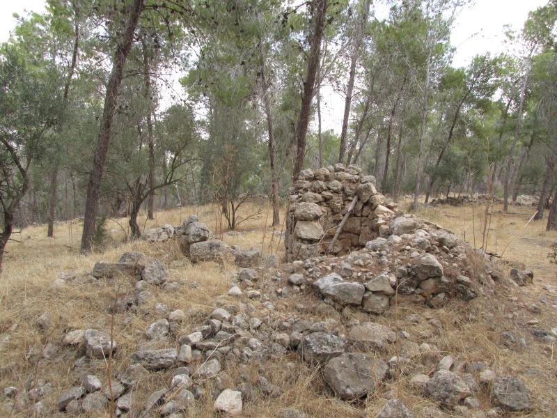 קובץ:כפראקשןפארק.JPG