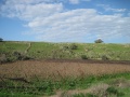 תמונה ממוזערת לגרסה מתאריך 15:34, 25 בינואר 2012