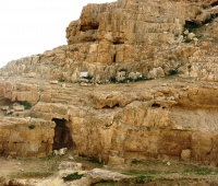 לוח זכרון שושנה הר ציון נחל ערוגות עליון.jpg