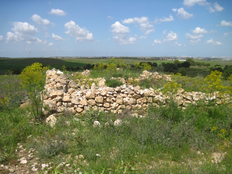 קובץ:מבנהלכיש190.JPG