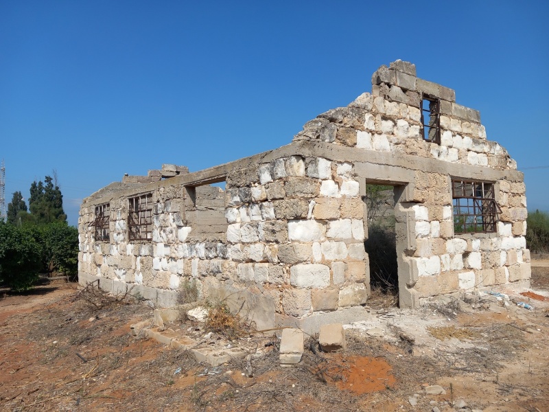 קובץ:מבנהשקתדר.jpg