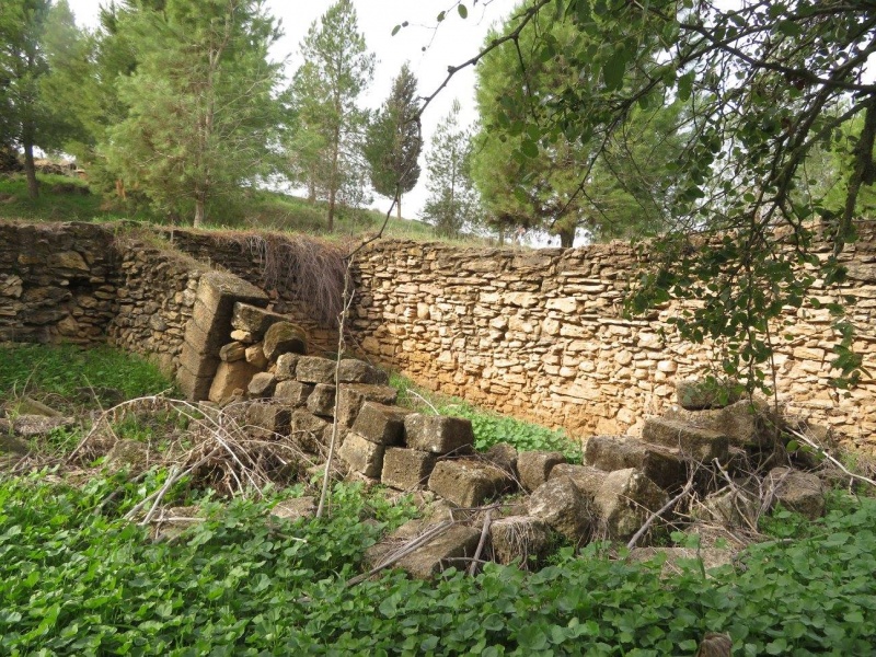 קובץ:מבניכורכרשוליער.jpg