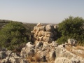 תמונה ממוזערת לגרסה מתאריך 10:48, 17 בספטמבר 2014