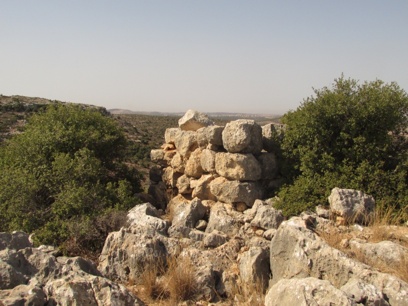 קובץ:מגדלייןב.JPG