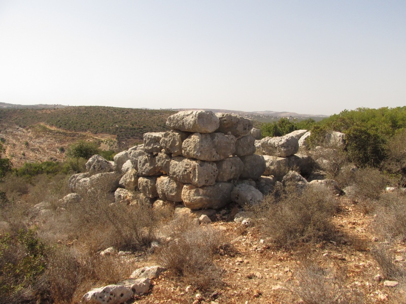 קובץ:מגדלייןג.JPG