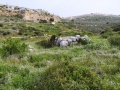 תמונה ממוזערת לגרסה מתאריך 08:13, 23 במרץ 2021