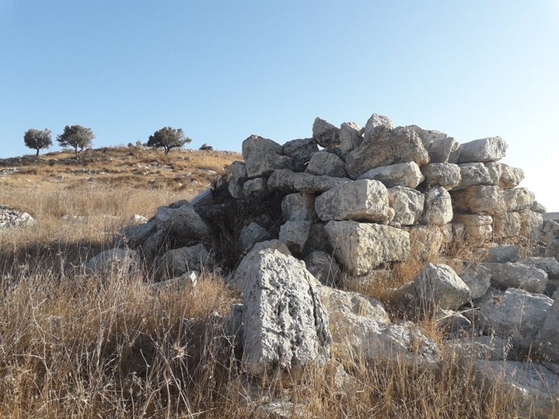 קובץ:מגדלשדהאח2.jpg