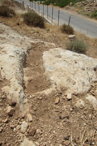 מדרגות חצובות בירידה לעין אל חנק תודה לאבישי.jpg
