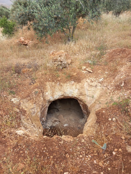 קובץ:מחילהעקרבה1.jpg