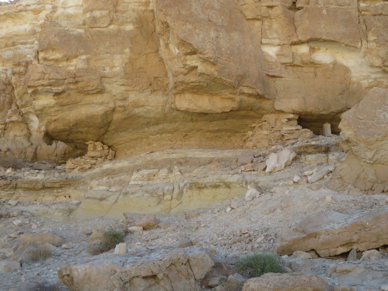 קובץ:מטמורותיפרוק.jpg