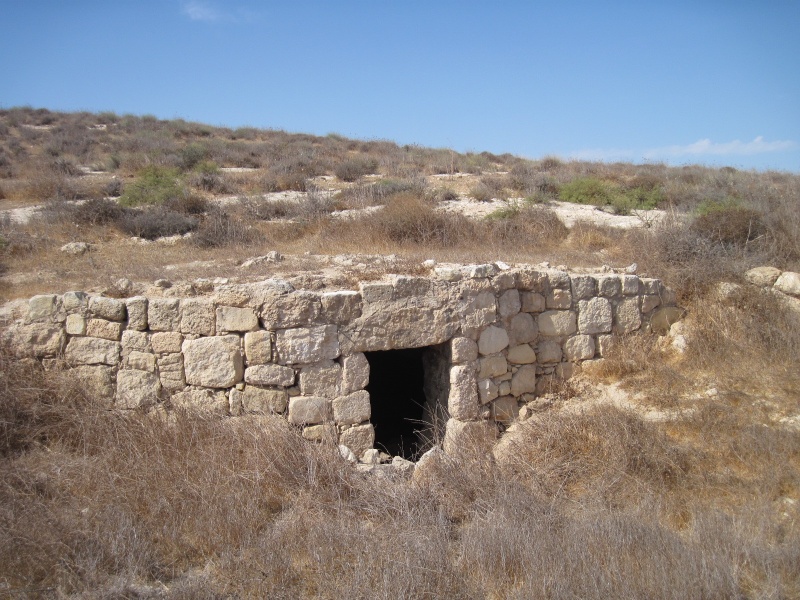 קובץ:מיתרסירה.JPG