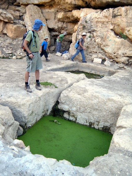 קובץ:מעיין חוות יאיר1.JPG