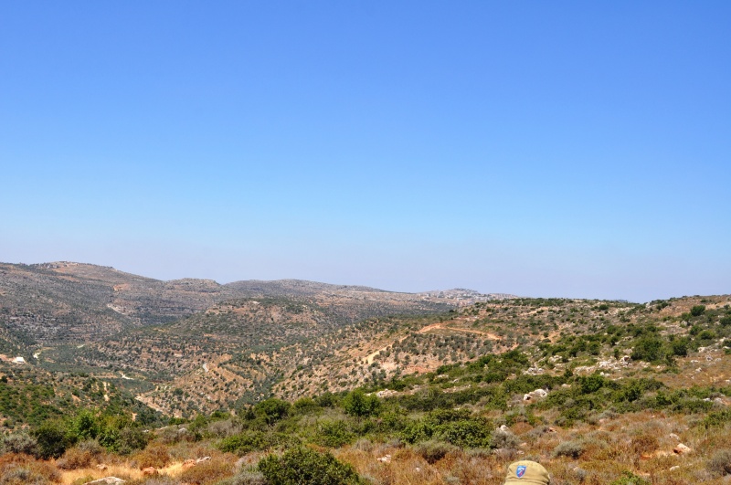 קובץ:מעיינות ממערב לסלפית 051.jpg