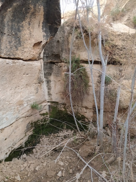 קובץ:מפלןגבבקר1.jpg