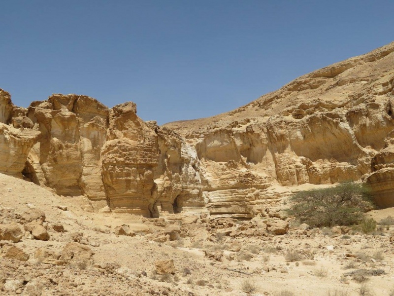 קובץ:מפלעץמסור.jpg