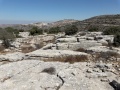 תמונה ממוזערת לגרסה מתאריך 12:16, 25 בספטמבר 2019