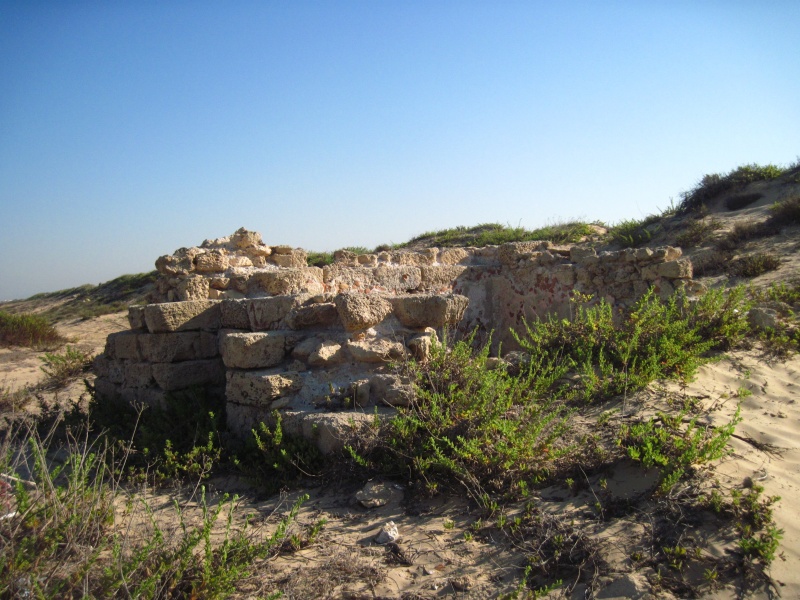 קובץ:נג15בריכה.JPG