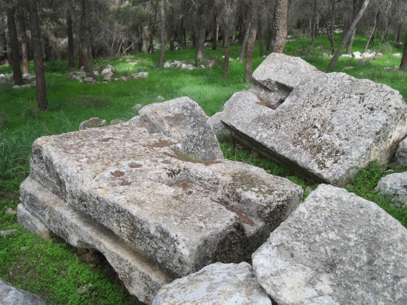 קובץ:נג401.JPG