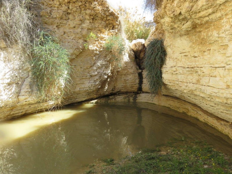 קובץ:נחלכבירסגור.jpg