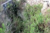 סובב תרדיון-סכנין-דיר חנא - 25.5.14 024 (Medium).jpg