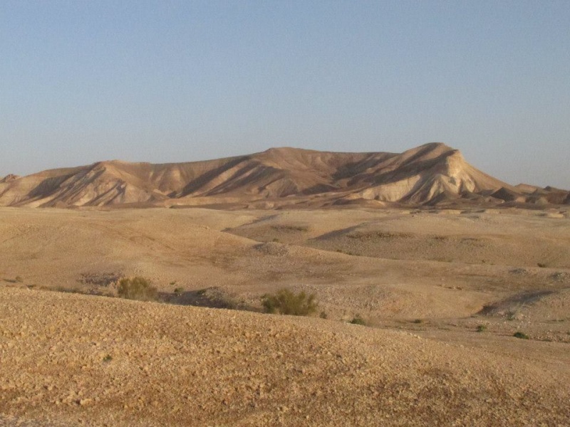 קובץ:סכןבקק.jpg