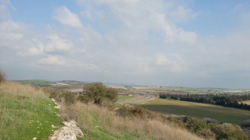 קובץ:סמסונג 3 2012 12 10 017.jpg