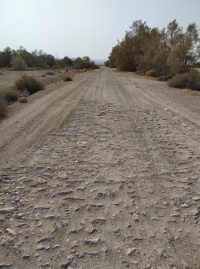 סןלינגקליה.jpg